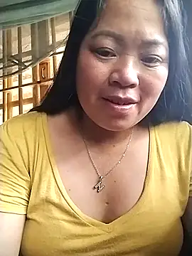 Min-in webcam