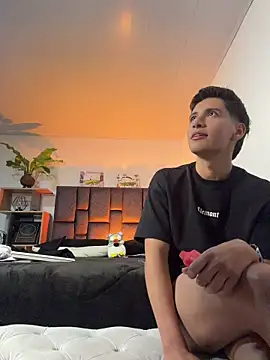 SebastianReed_ webcam