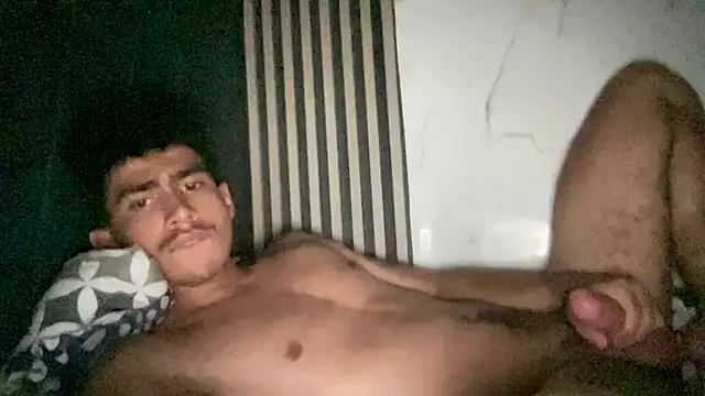 WildLogan webcam
