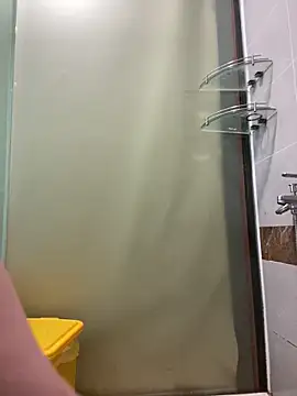 Hatasimi webcam