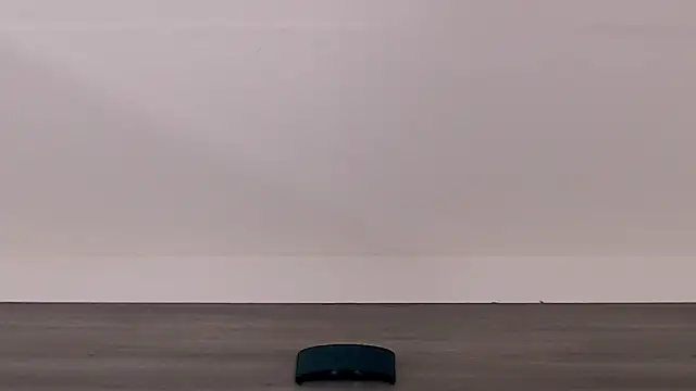 SashaNova webcam