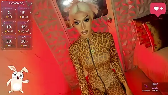 anitacruise webcam