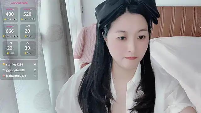 D-Misslu webcam