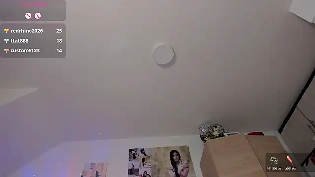 Veronikolsen- webcam