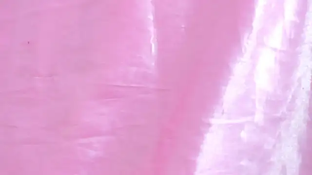 dalia_1 webcam