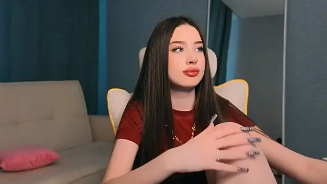 noonespyed webcam