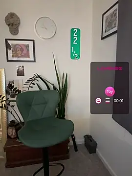 blackwidowlaced webcam