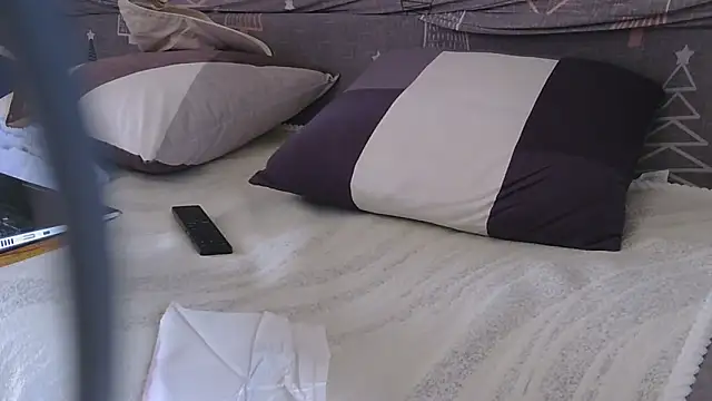 866532 webcam