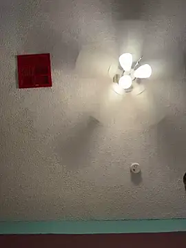 MyHoneyFrida webcam