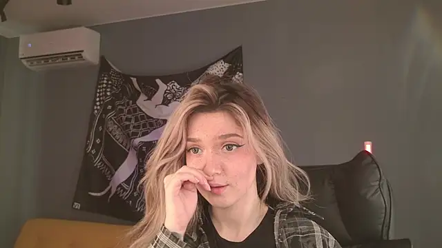 BellaSink webcam