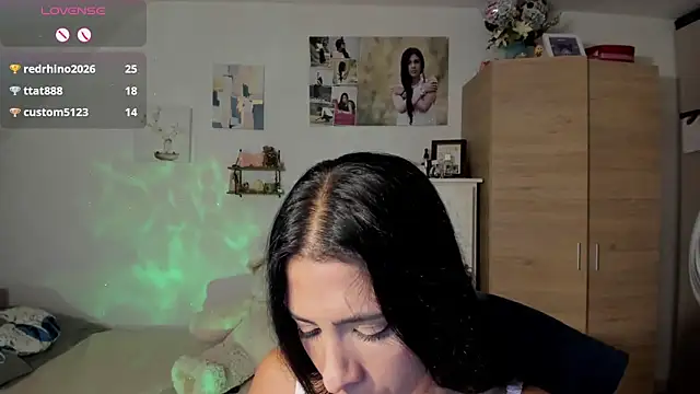 Veronikolsen- webcam