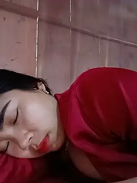 Nul_chal webcam
