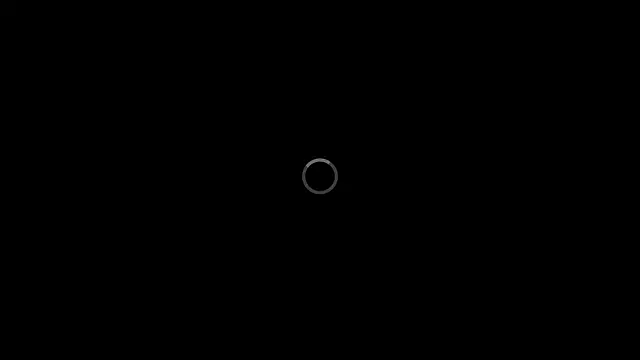 Elizabetswan webcam
