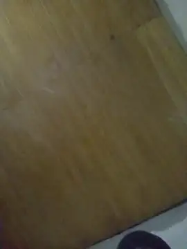Ridick2025 webcam