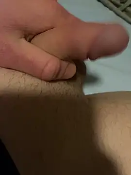 GrosserDickerSchwanz17cm webcam
