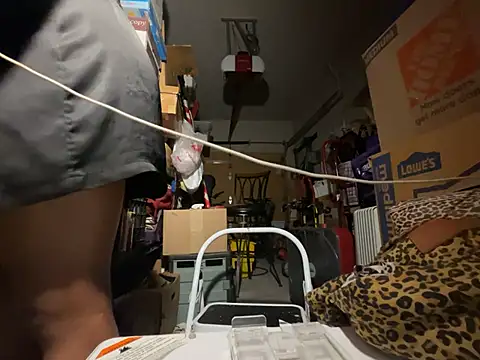 wynterheat webcam