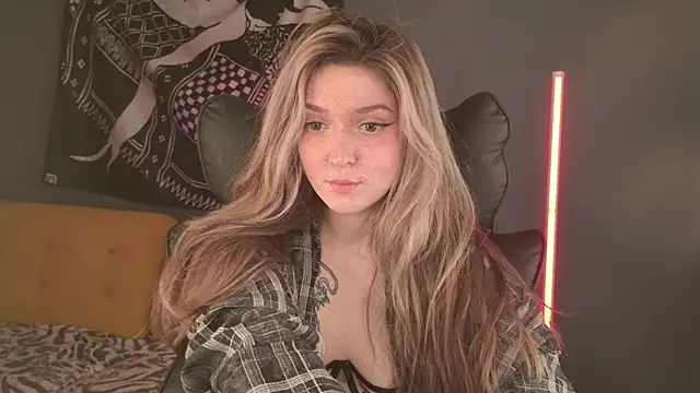 BellaSink webcam
