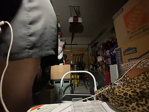 wynterheat webcam