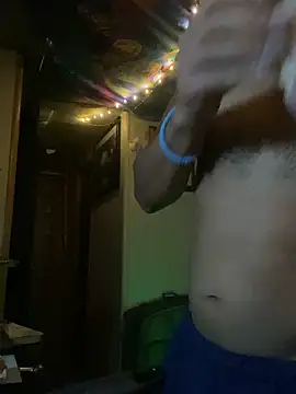 LargeDominoes webcam