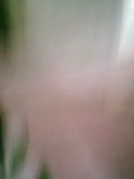 Parm_randhawa webcam