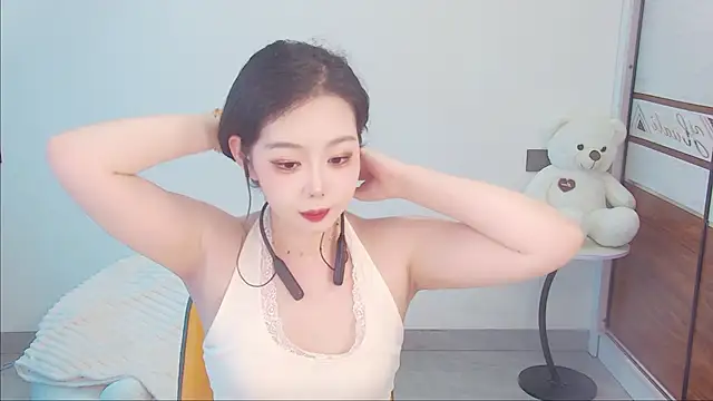 swie111 webcam