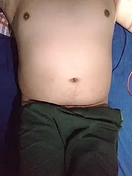 axel-spr webcam