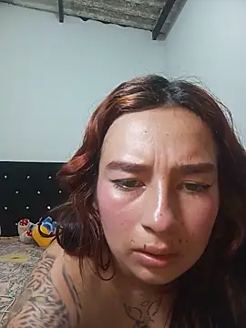 Marcelincam webcam