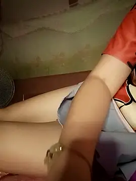 -Tara-a webcam