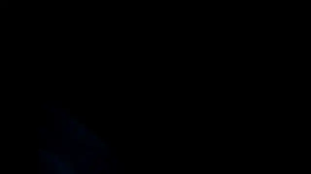 Axel_fox77 webcam