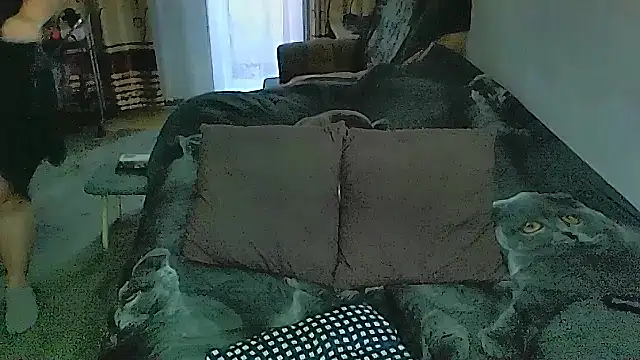 sex2 webcam