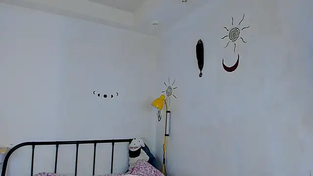 LiyaFly webcam