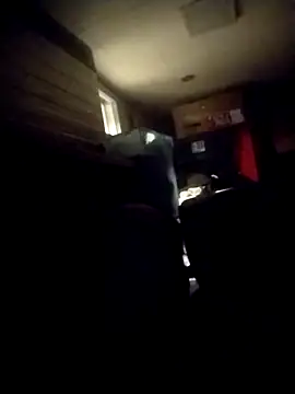 AceticPinscher webcam