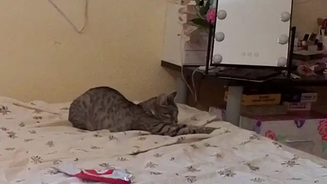 boozekirs_ live sex cam