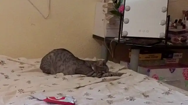 boozekirs_ webcam