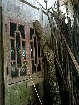 Ruaiuoi webcam