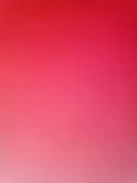 DIANAKUTE webcam