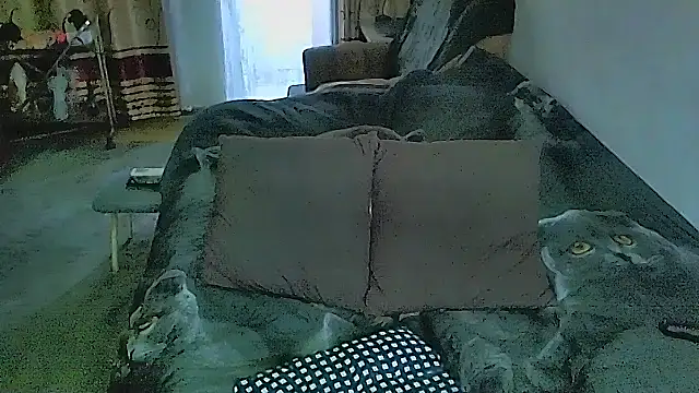 sex2 webcam