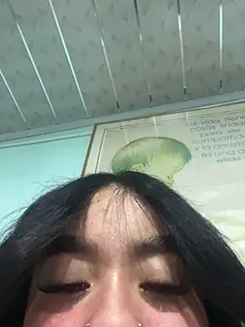 Xiiki webcam