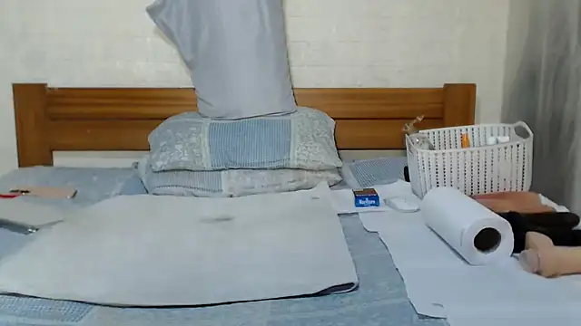 awild_kitten webcam
