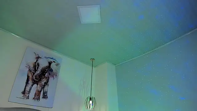 ayshel__ webcam