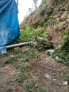 kalara_kail webcam