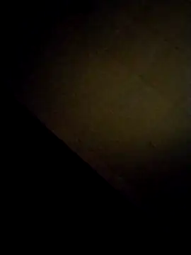 AceticPinscher webcam