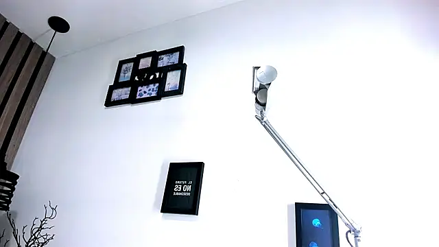 Pit_Ross webcam