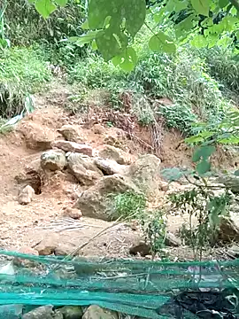 Ruaiuoi webcam