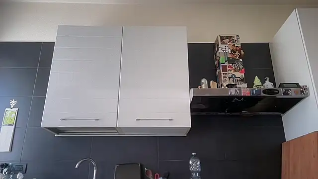 theitalianbear webcam