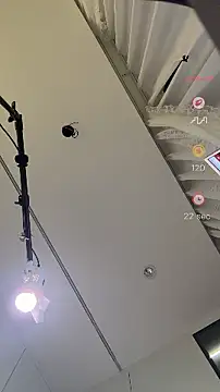fanchashaonv88 webcam