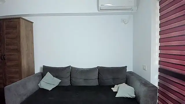 ZkkBlitz webcam