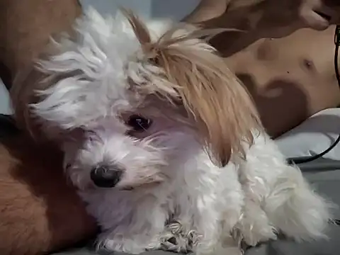 ako0802 webcam