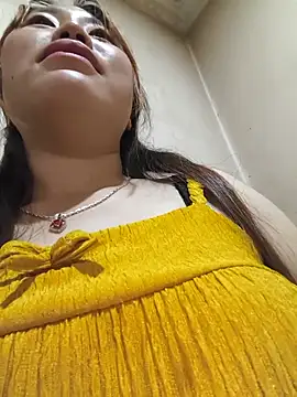 he-se-kin webcam