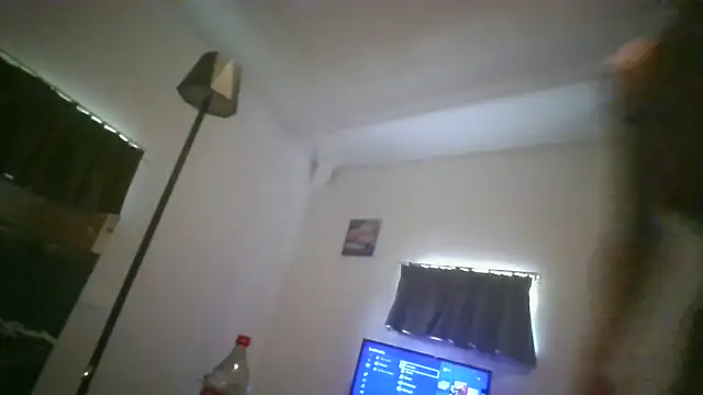 toyxltester webcam